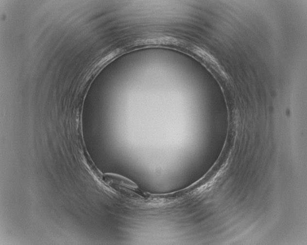 X0000060580841200511241339