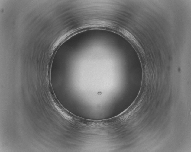 X0000060580842200511241339