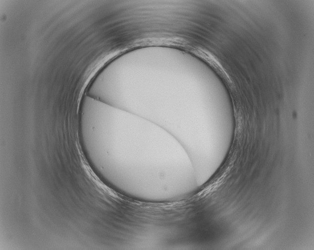 X0000060580844200511241339