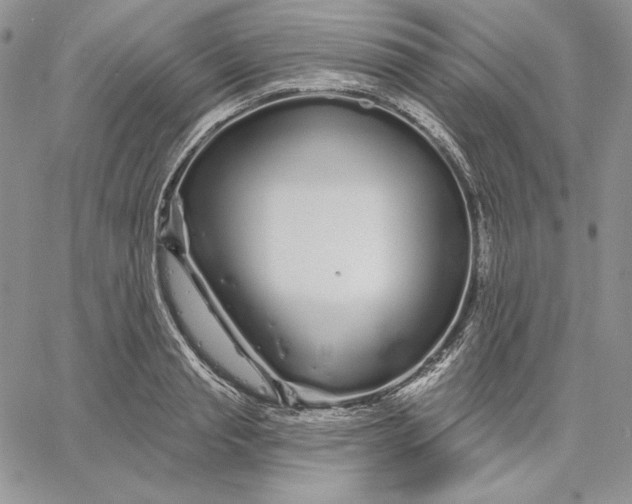 X0000060580845200511241339