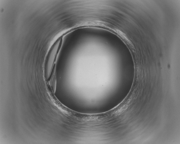 X0000060580846200511241339