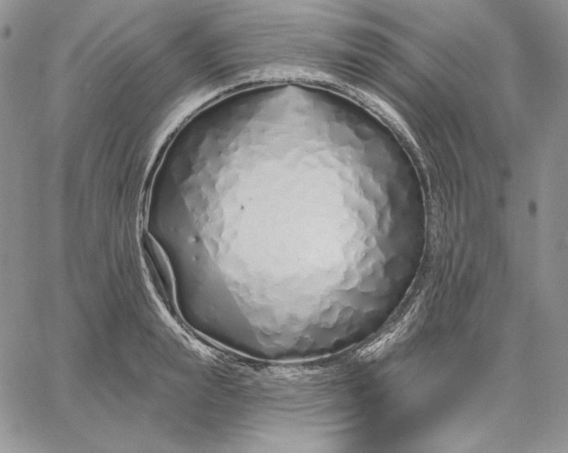 X0000060580847200511241339