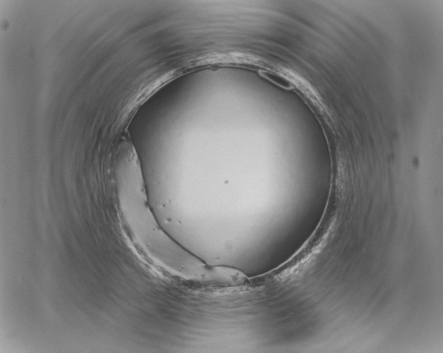 X0000060580849200511241339