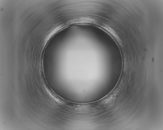 X0000060580850200511241339