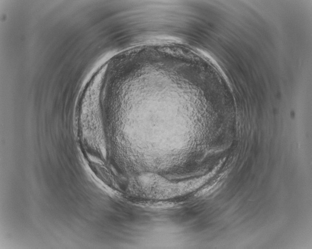 X0000060580851200511241339