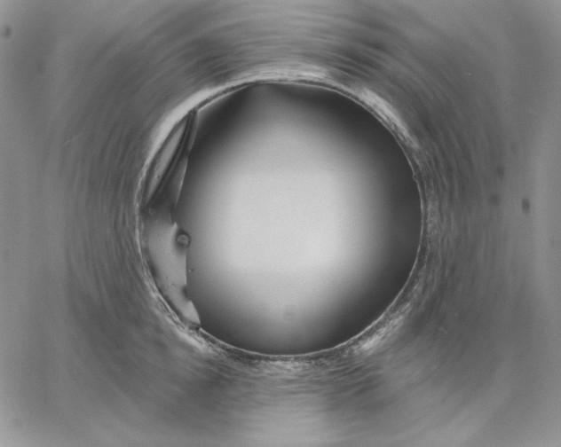 X0000060580854200511241339