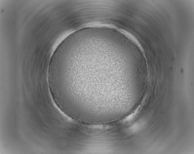 X0000060580855200511241339