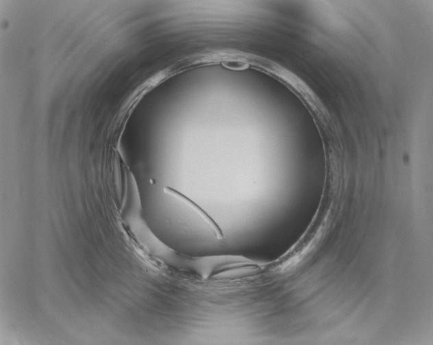 X0000060580857200511241339