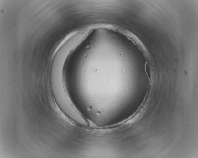 X0000060580860200511241339