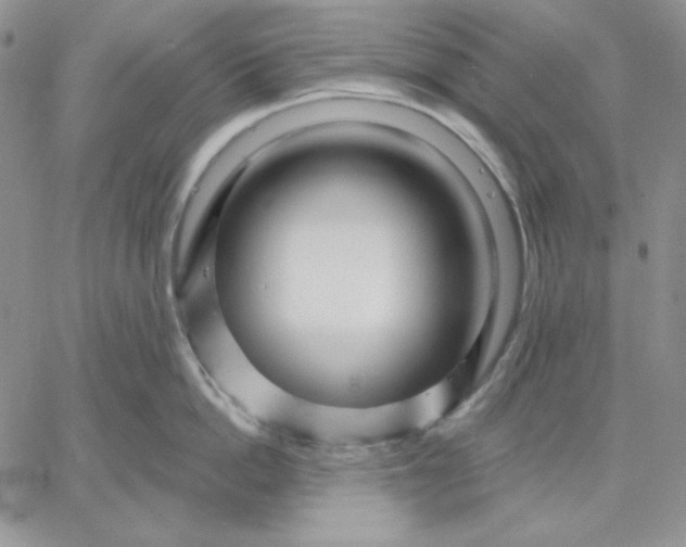 X0000060580862200511241339