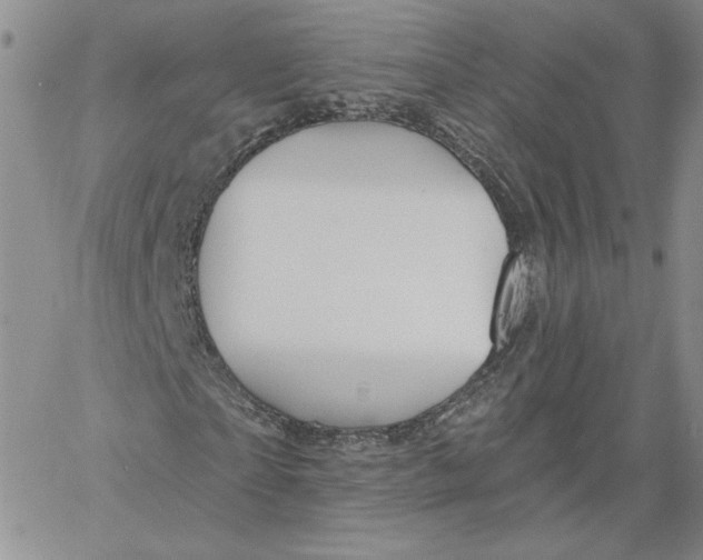 X0000060580865200511241339