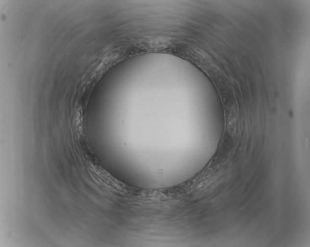 X0000060580866200511241339