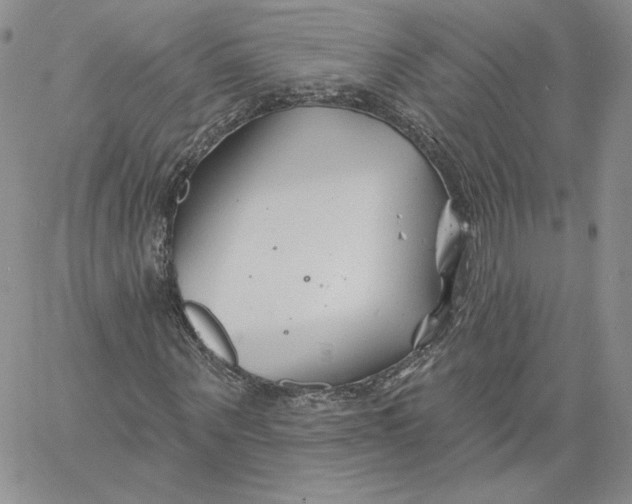 X0000060580867200511241339