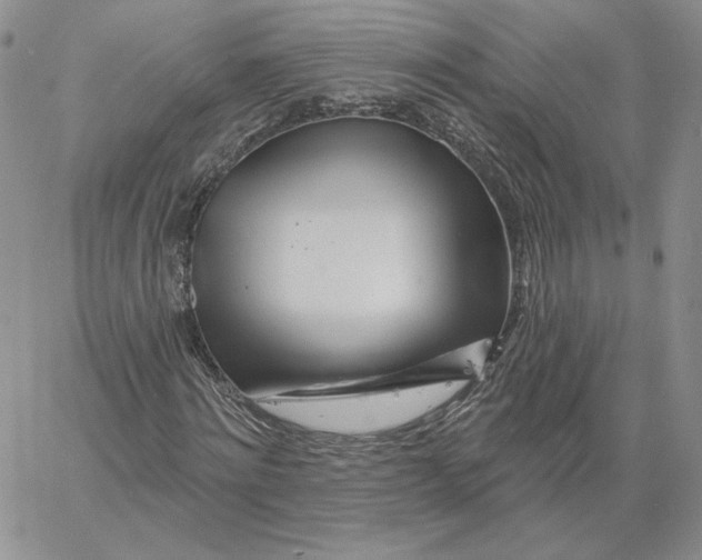 X0000060580868200511241339