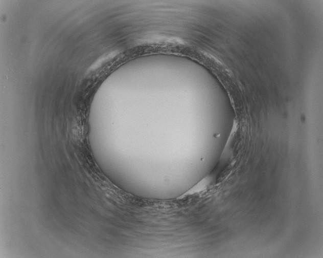 X0000060580869200511241339