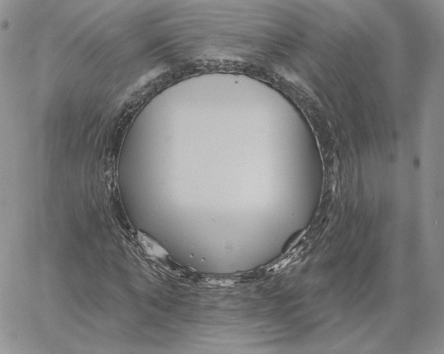 X0000060580870200511241339