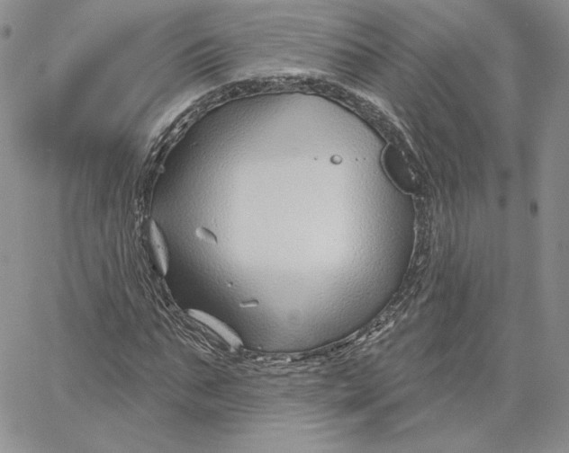 X0000060580871200511241339