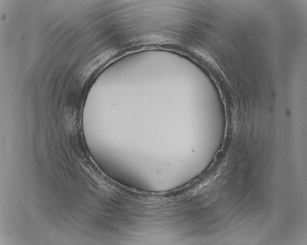 X0000060580873200511241338