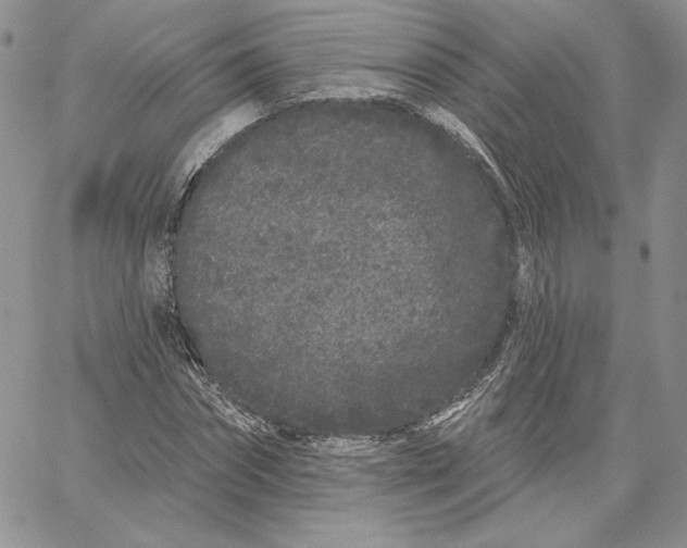 X0000060580874200511241338