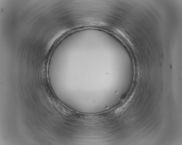 X0000060580875200511241338