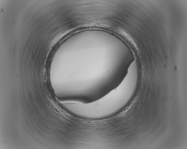 X0000060580876200511241338