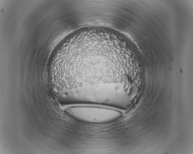 X0000060580879200511241338