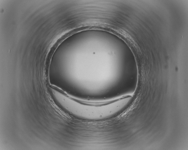 X0000060580880200511241338