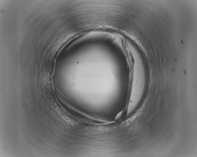 X0000060580881200511241338