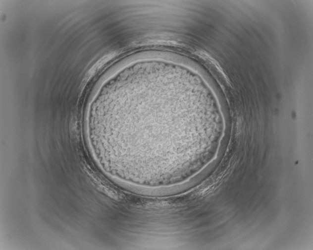 X0000060580882200511241338