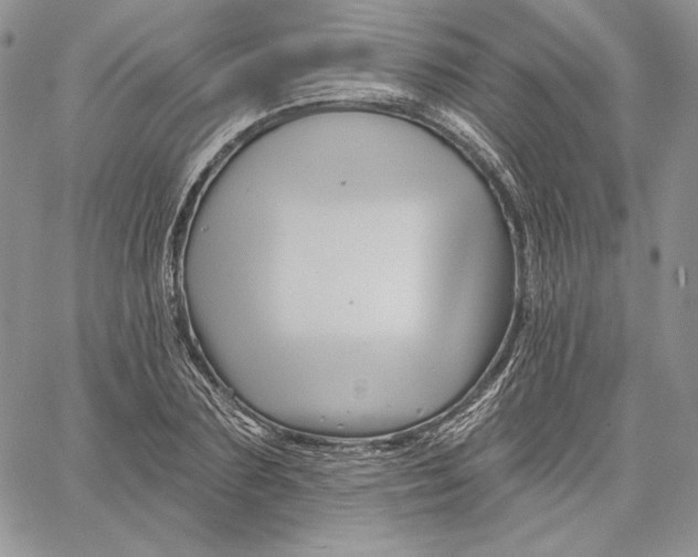 X0000060580883200511241338