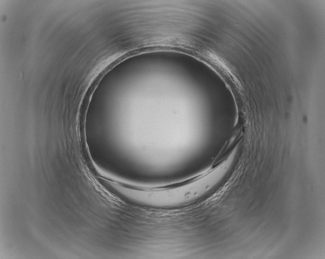 X0000060580884200511241338