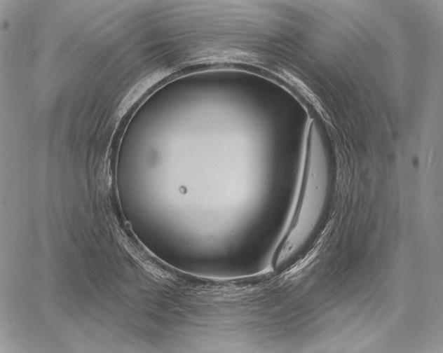 X0000060580885200511241338