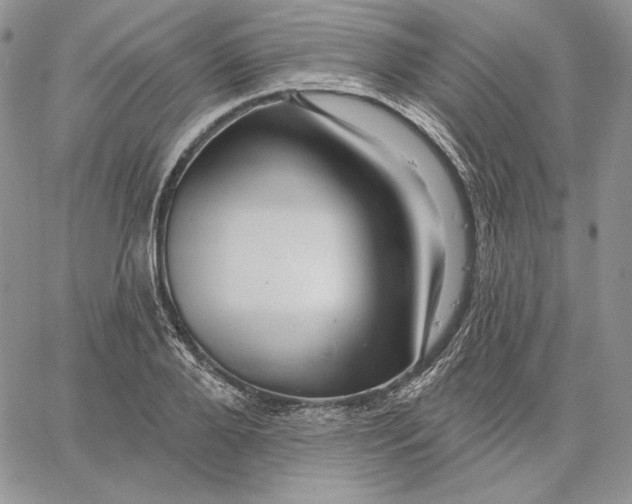 X0000060580888200511241338