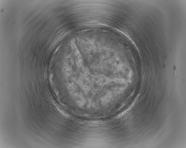 X0000060580889200511241338