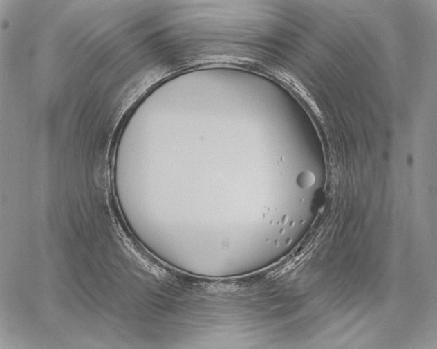 X0000060580890200511241338