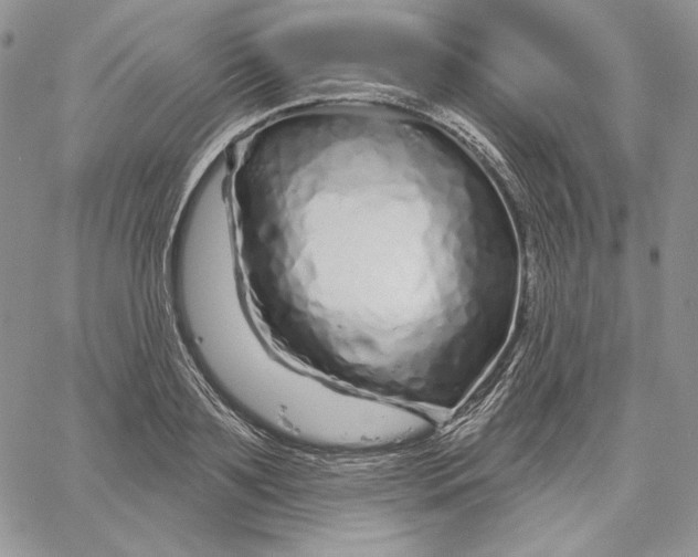 X0000060580891200511241338