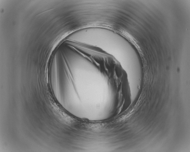 X0000060580892200511241338