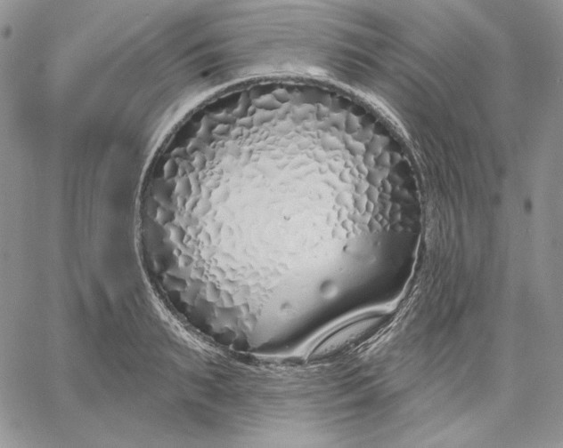 X0000060580895200511241338