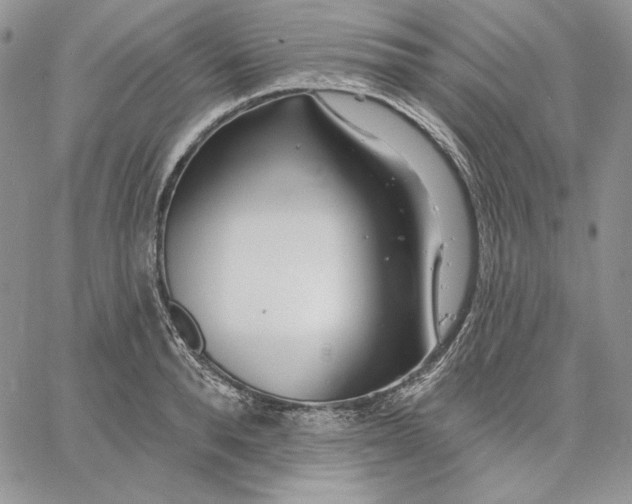 X0000060580896200511241338