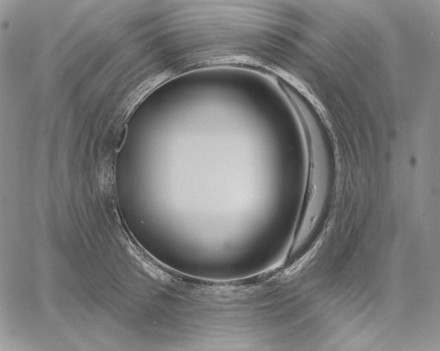 X0000060580897200511241338