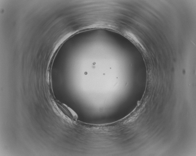 X0000060580900200511241338