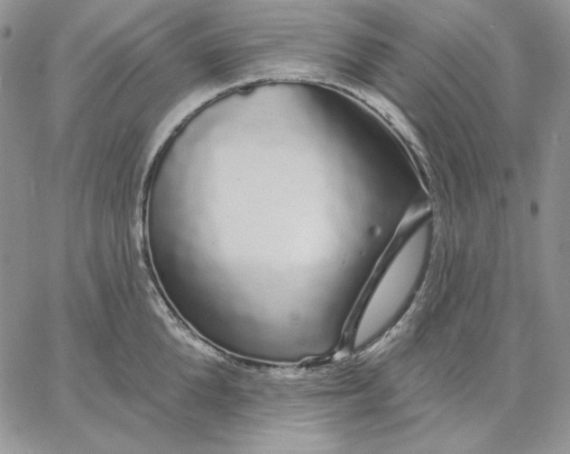 X0000060580904200511241338