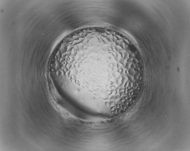 X0000060580907200511241338