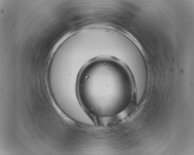 X0000060580909200511241338