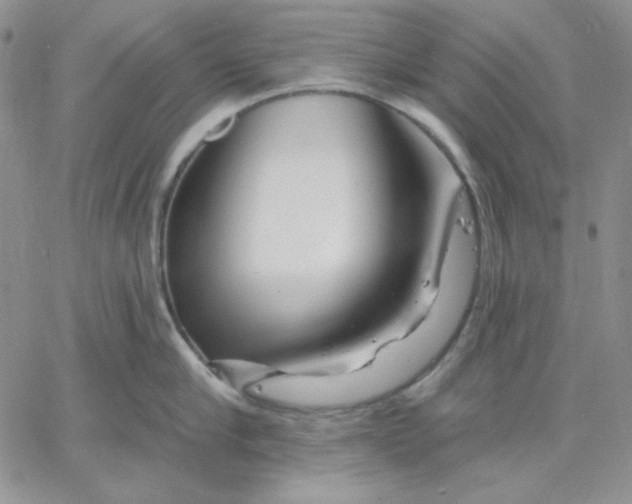 X0000060580910200511241338