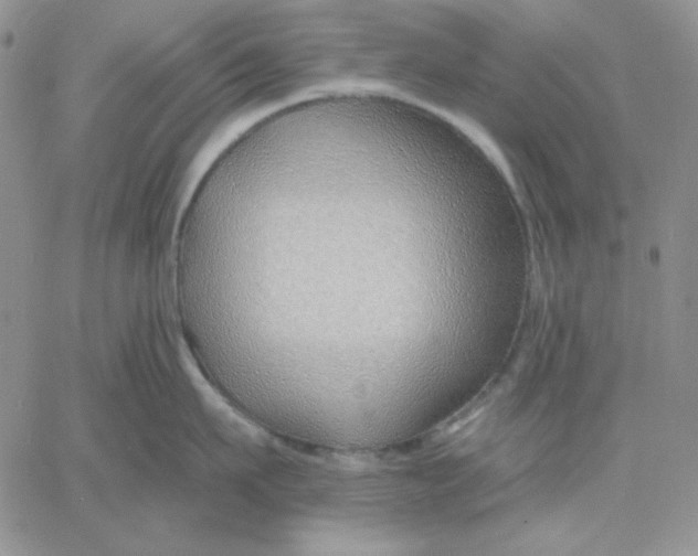 X0000060580911200511241338