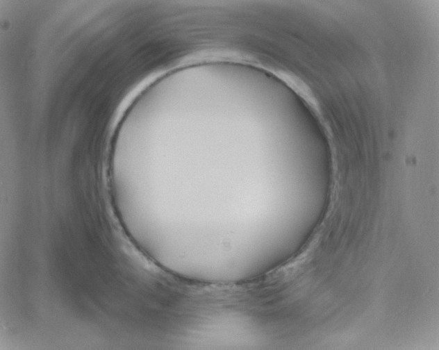 X0000060580912200511241338