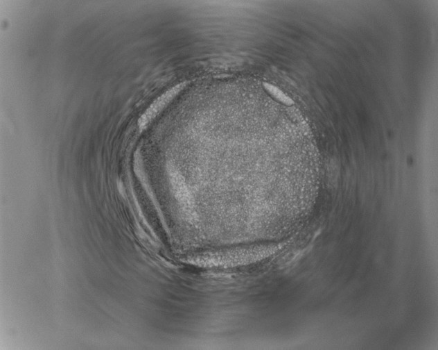 X0000060580913200511241337