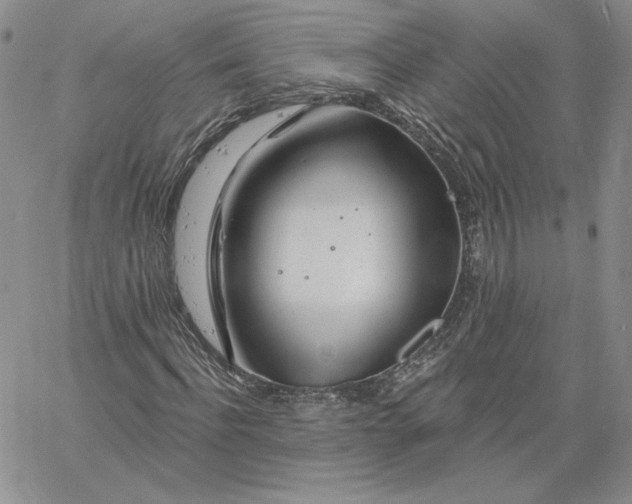 X0000060580916200511241337