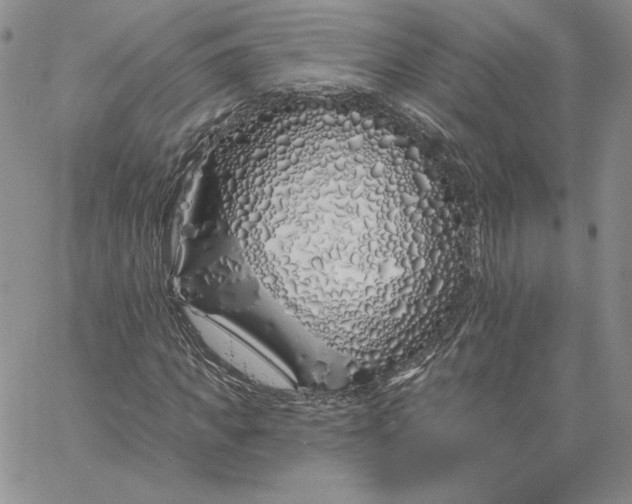 X0000060580917200511241337